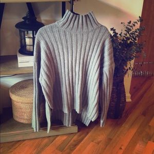 Everlane Wool Cashmere Rib Oversize Turtleneck